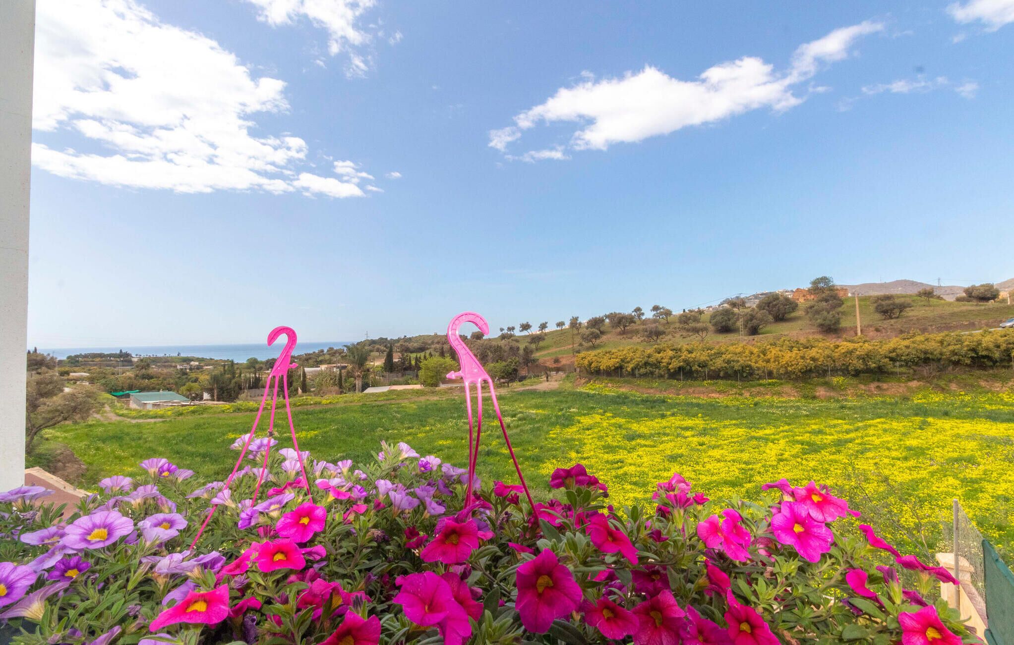 A balcony with a view of a coastal landscape, featuring a pink flamingo sculpture and vibrant flowers.