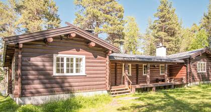 Lovely home in Drevsjø with lake view