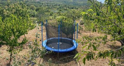 Nice home in Krusevo with WiFi