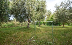 Ein Fußballtor in einer grünen Wiese, umgeben von Bäumen.