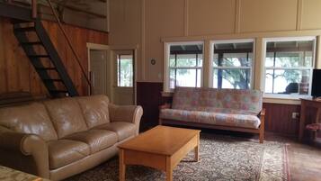 TV connectée, cheminée, livres