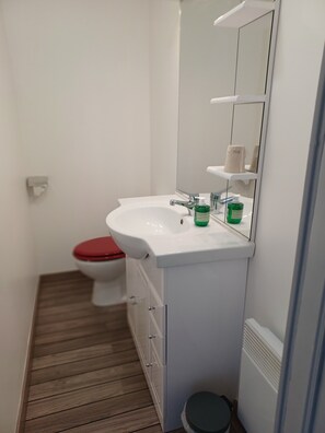 Shower, hair dryer, toilet paper