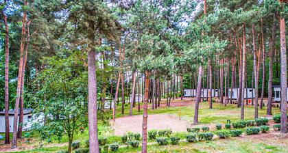 Beautiful home in Sulnowo with sauna