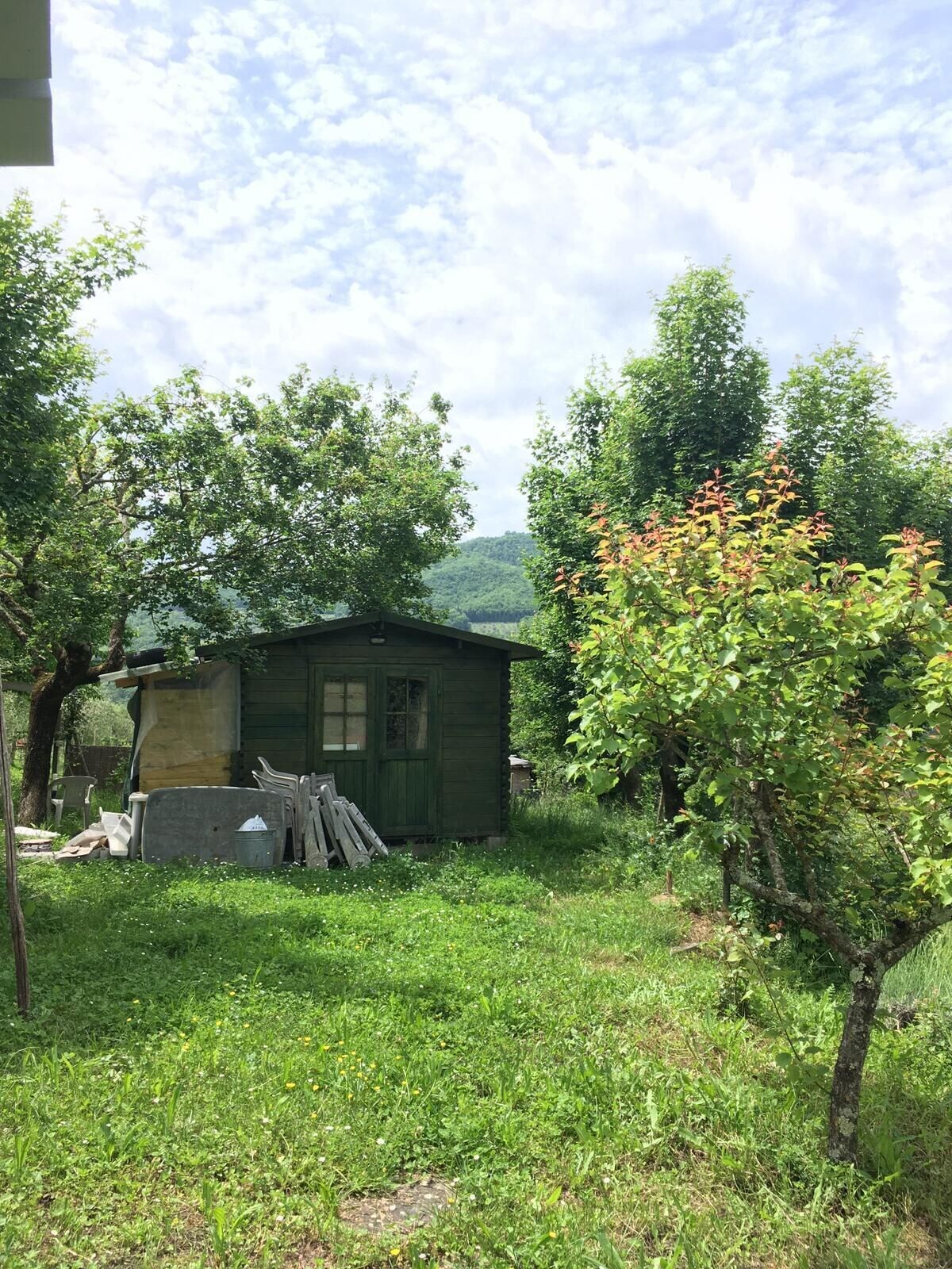 Image de profil de lâhĂŽte