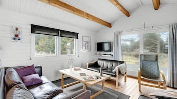 Fireplace, DVD player