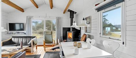 مدفأة، مشغل دي في دي