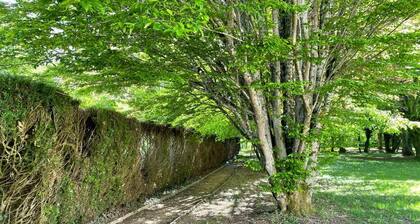 Family home, its park and streams, on the route des Châteaux