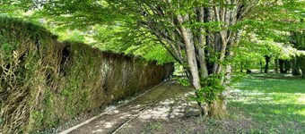 Family home, its park and streams, on the route des Châteaux