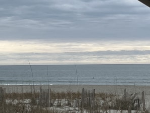 A beach with a wooden fence and sparse vegetation.