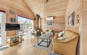 تلفزيون، مدفأة