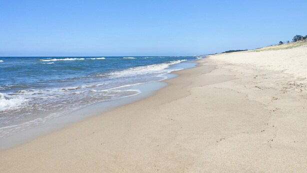 Ampia spiaggia sabbiosa con onde dolci, cielo sereno e una linea di alberi in lontananza.
