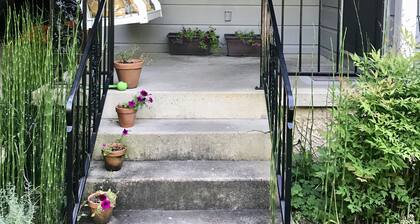 Wonderful house close to the historic square and the Ole Miss campus.