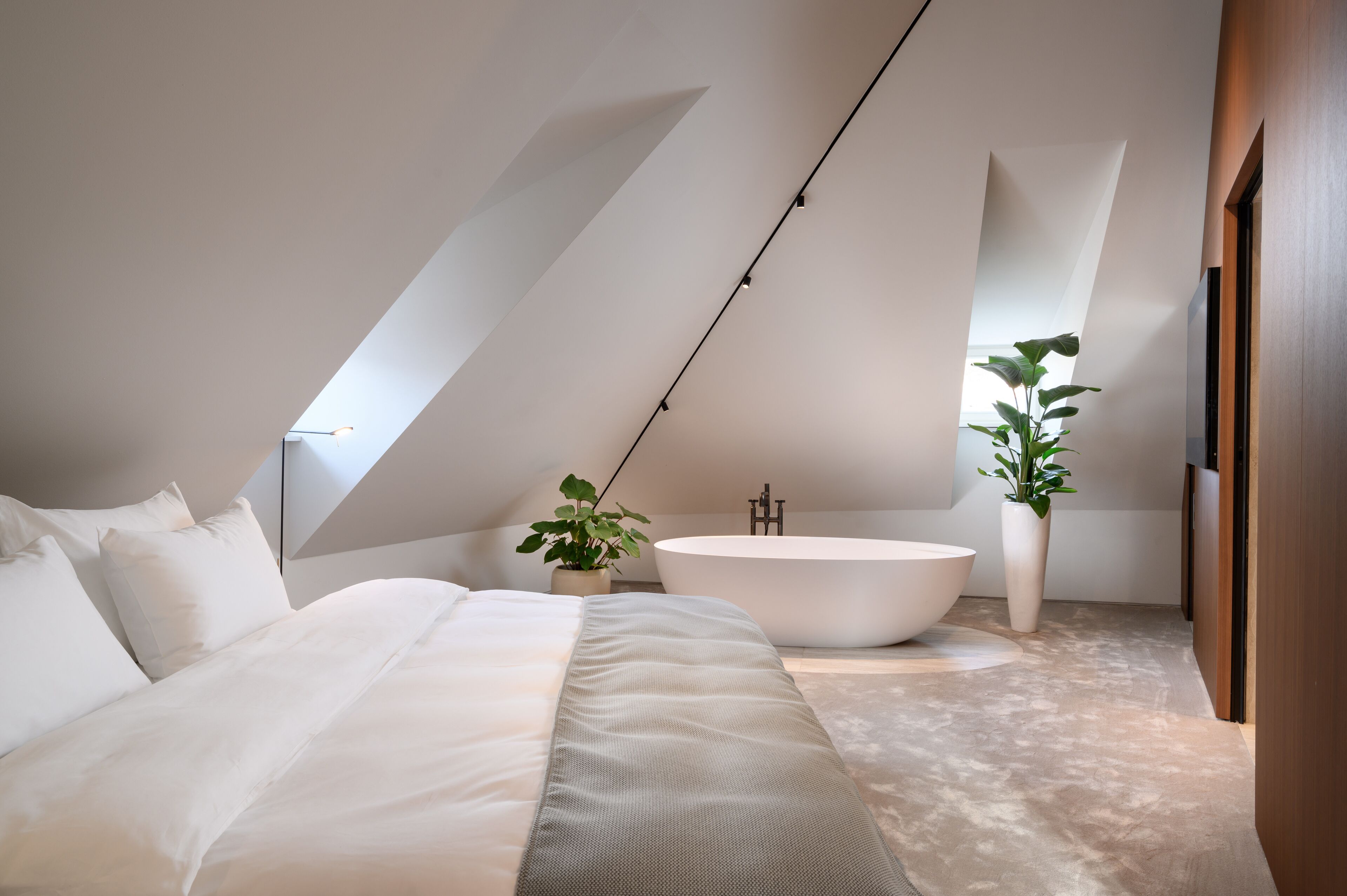 A modern bedroom with a large bed, a freestanding bathtub, and a potted plant.