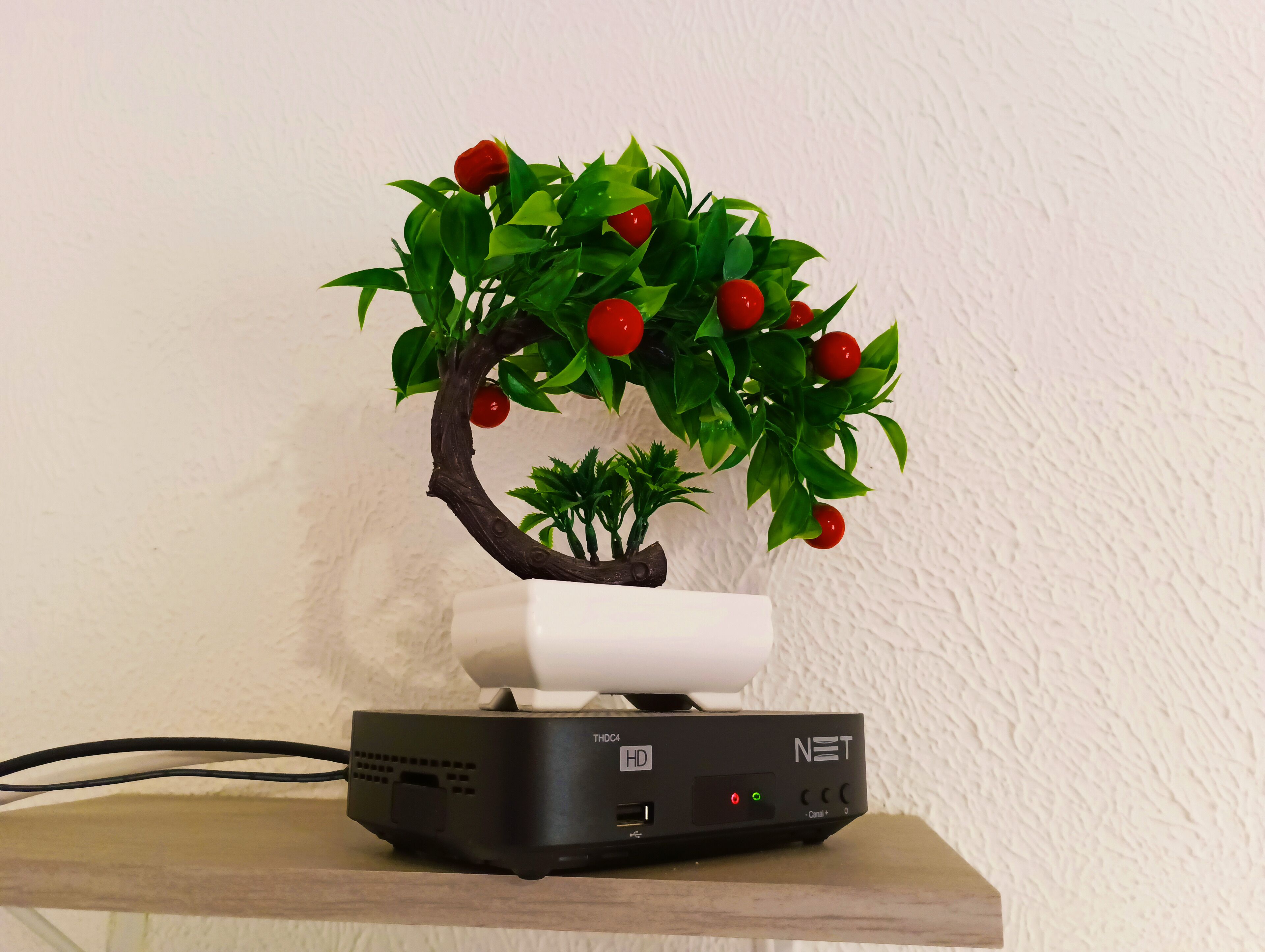 Photo - Pousada Executiva SolRiso Aeroporto Florianópolis