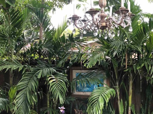 Private Studio • Walk to Calle Ocho
