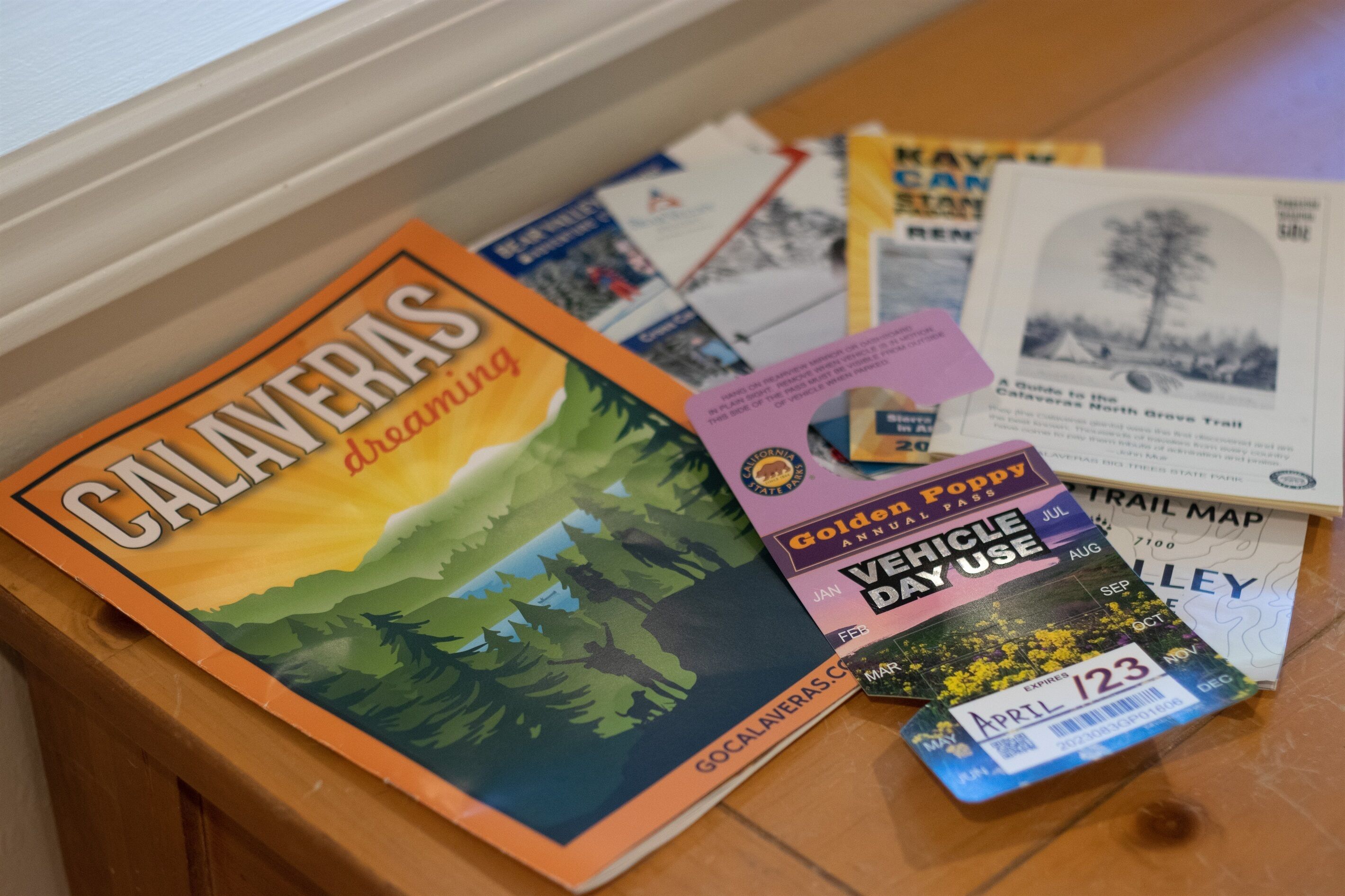 A collection of travel brochures and maps on a wooden table.