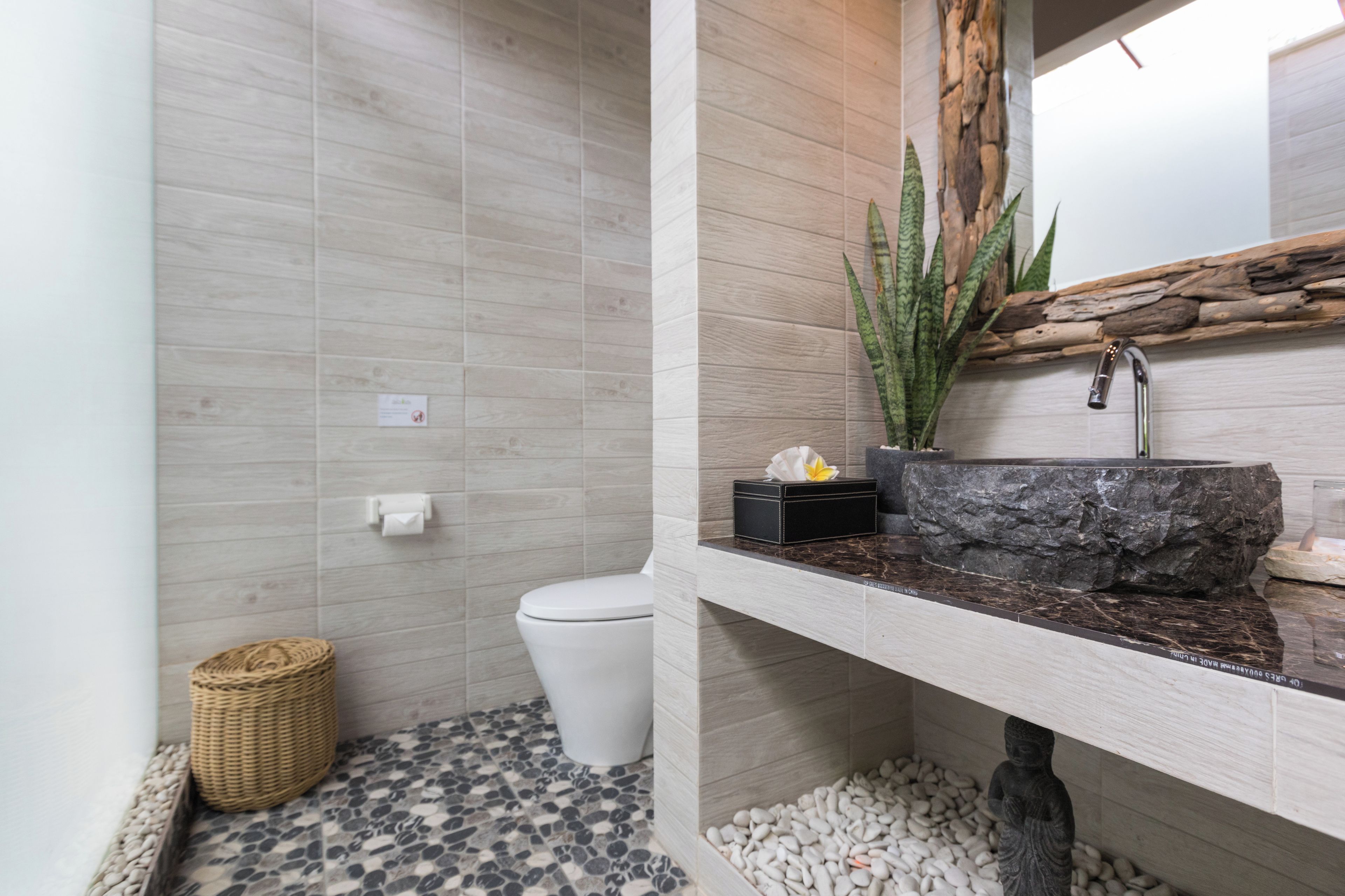 A bathroom with a white toilet, a stone sink, and a large plant.