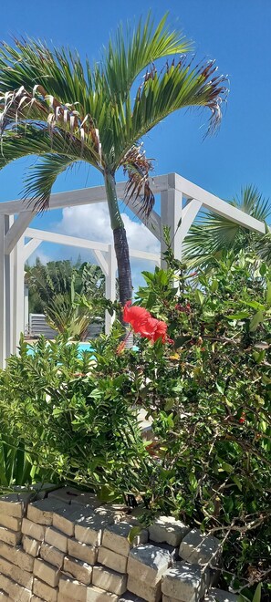 Property grounds - Charming OCEANE studio T1 in guest house with sea view (Collectivity of Saint Martin)