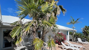 A house with a stone patio, white lounge chairs, and a palm tree. - Charming OCEANE studio T1 in guest house with sea view (Collectivity of Saint Martin)