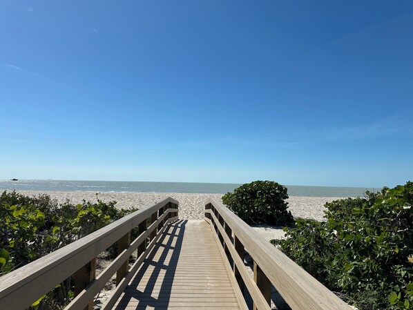 Plage, chaises longues, serviettes de plage