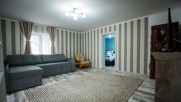 Un salon avec un canapé gris, un tapis à motifs, une chaise en bois et un téléviseur posé sur un meuble en bois.
