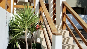 Een trap met houten leuningen en een palmplant ernaast.