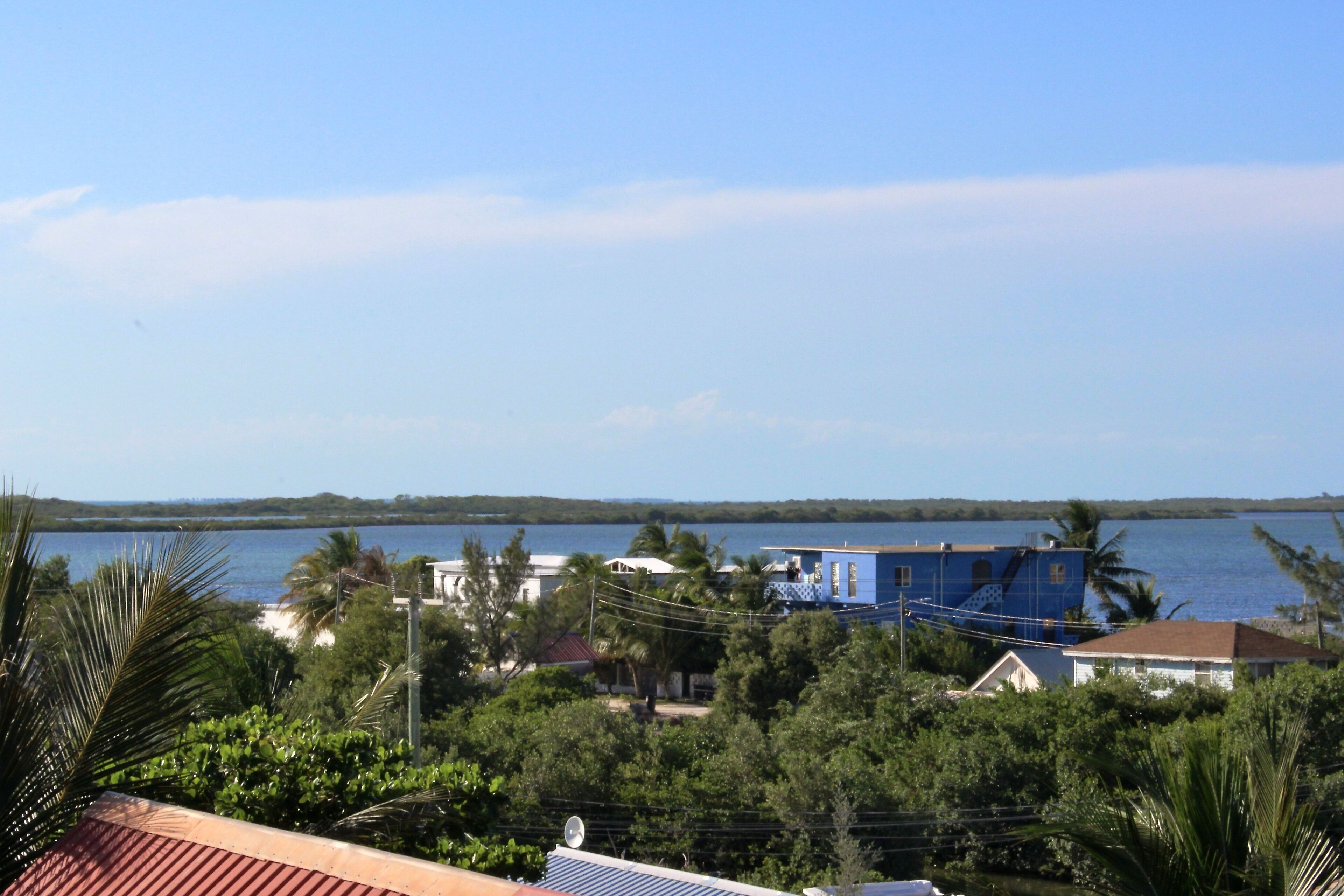 Vista costera con un edificio azul, palmeras y una masa de agua.