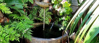 Quality accommodation to business & leisure travelers to Brackenfell, Cape Town.