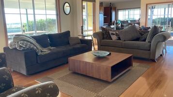 Smart TV, fireplace, DVD player, books