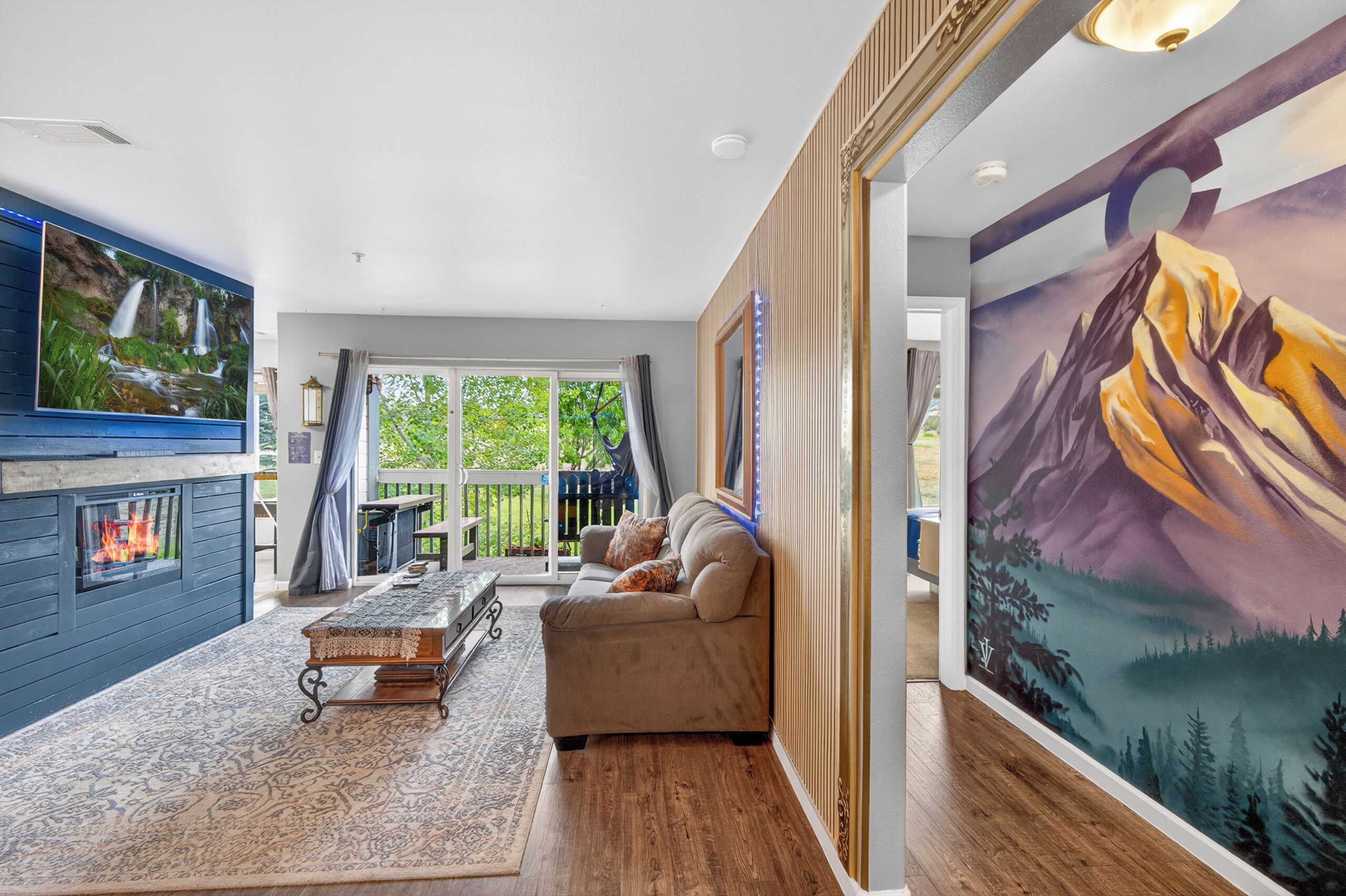 Smart TV, fireplace, books