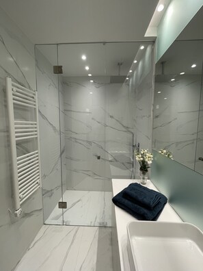 Shower, hair dryer, towels, toilet paper