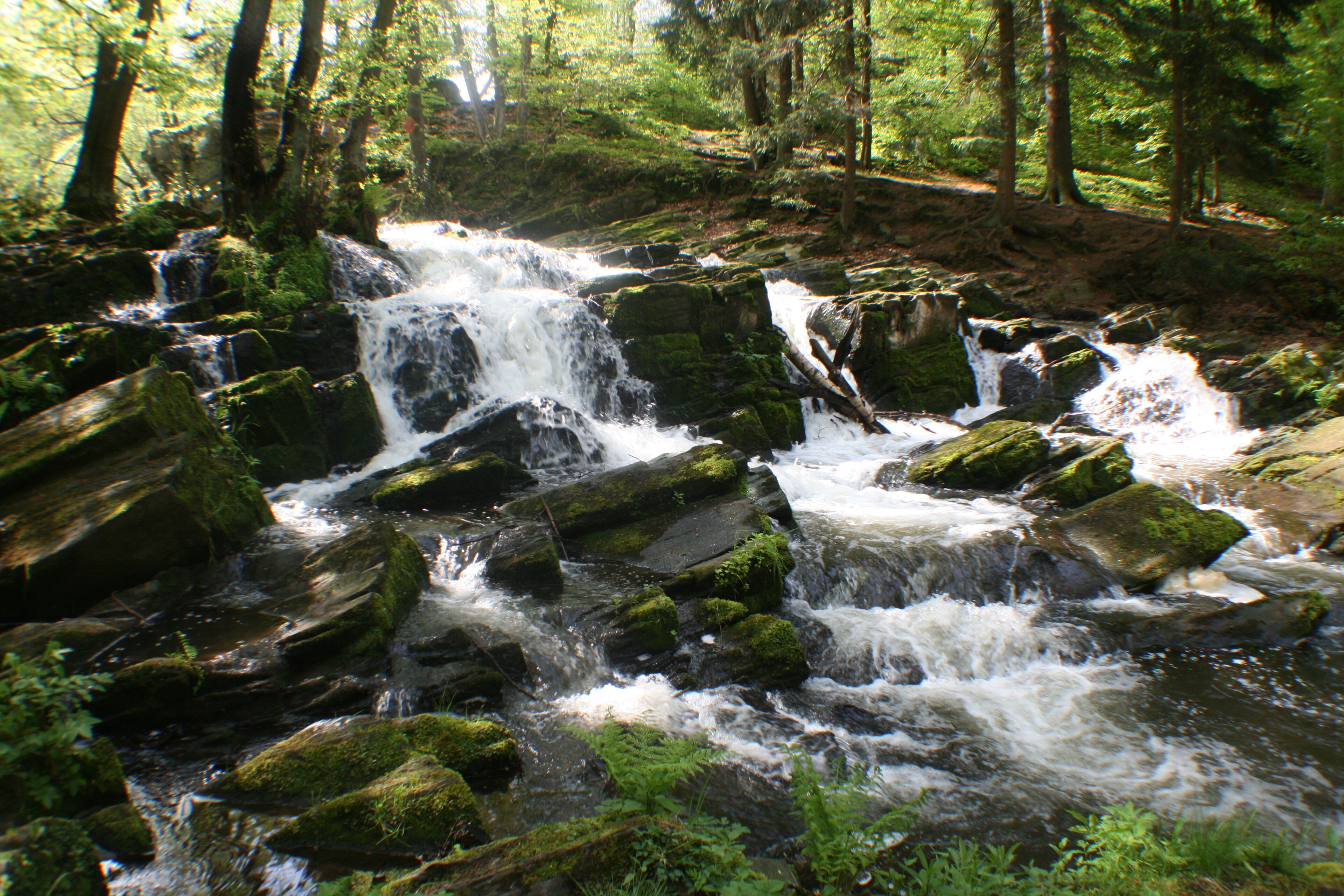 Ein natürlicher Wasserfall, umgeben von Felsen und viel Grün.