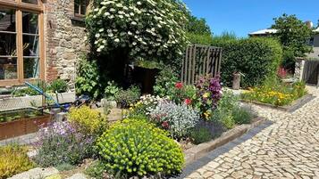 Apartment, 2 Bedrooms, Smoking, Patio | Garden