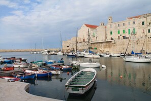 House, 2 Bedrooms, Smoking, Patio | Boating - Giovinazzo Historic Apulia (Giovinazzo)
