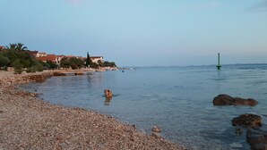 Une plage de galets avec une eau claire, un chien dans l’eau et des bâtiments en arrière-plan.