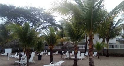 Room in Guest Room - Room in Comfortable Apartment Located on the Beach Very Close to the City