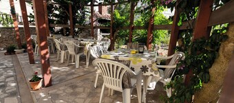 Cozy 1-bedroom Apartment Sonia