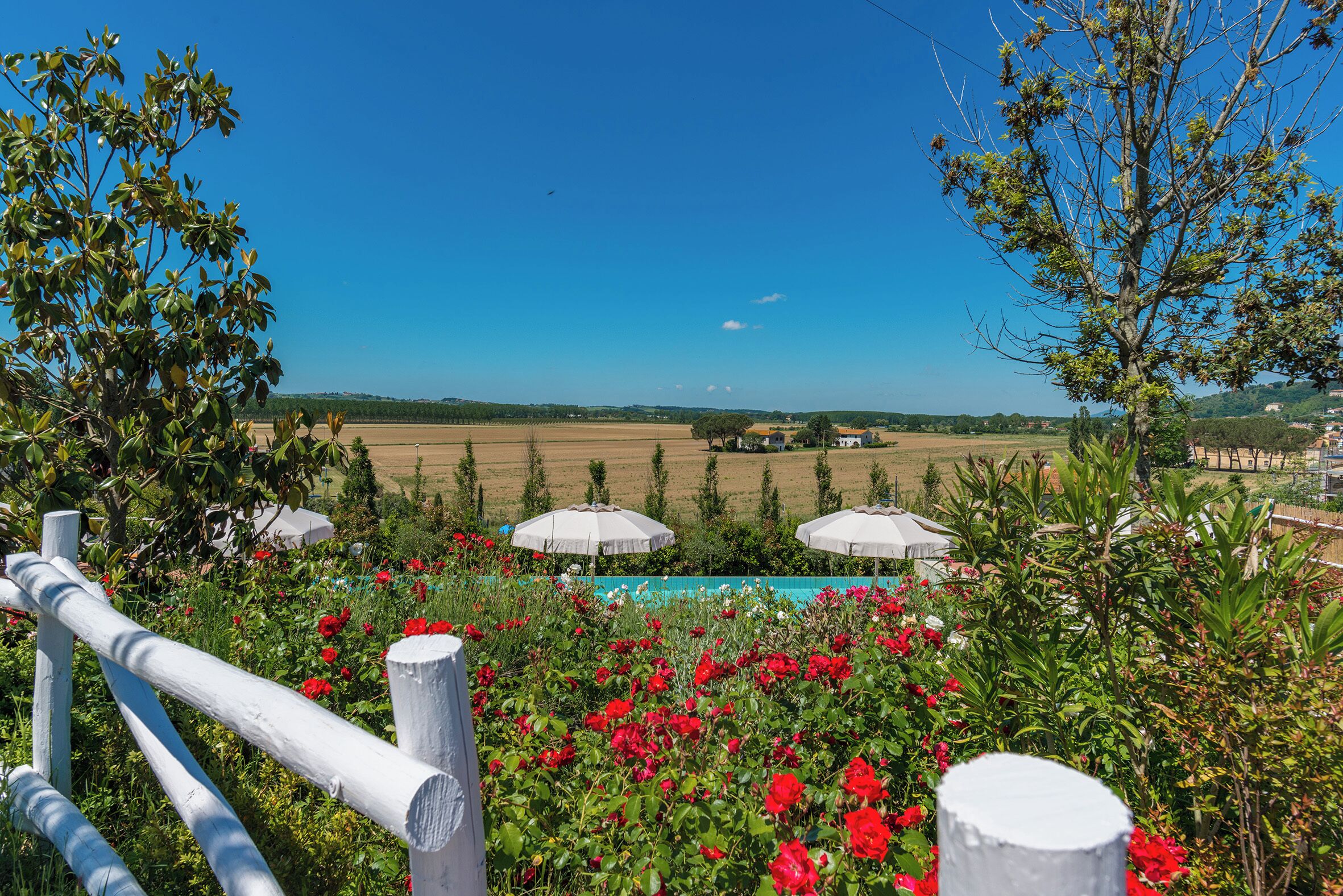A garden with red flowers, a pool, and a view of fields and houses.