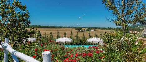 A garden with red flowers, a pool, and a view of fields and houses.