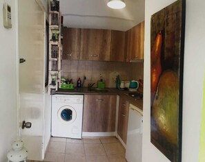 Une cuisine compacte avec des meubles en bois, un lave-linge, un évier et un tableau accroché au mur.