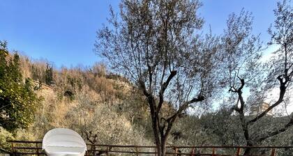 Family villa with pool