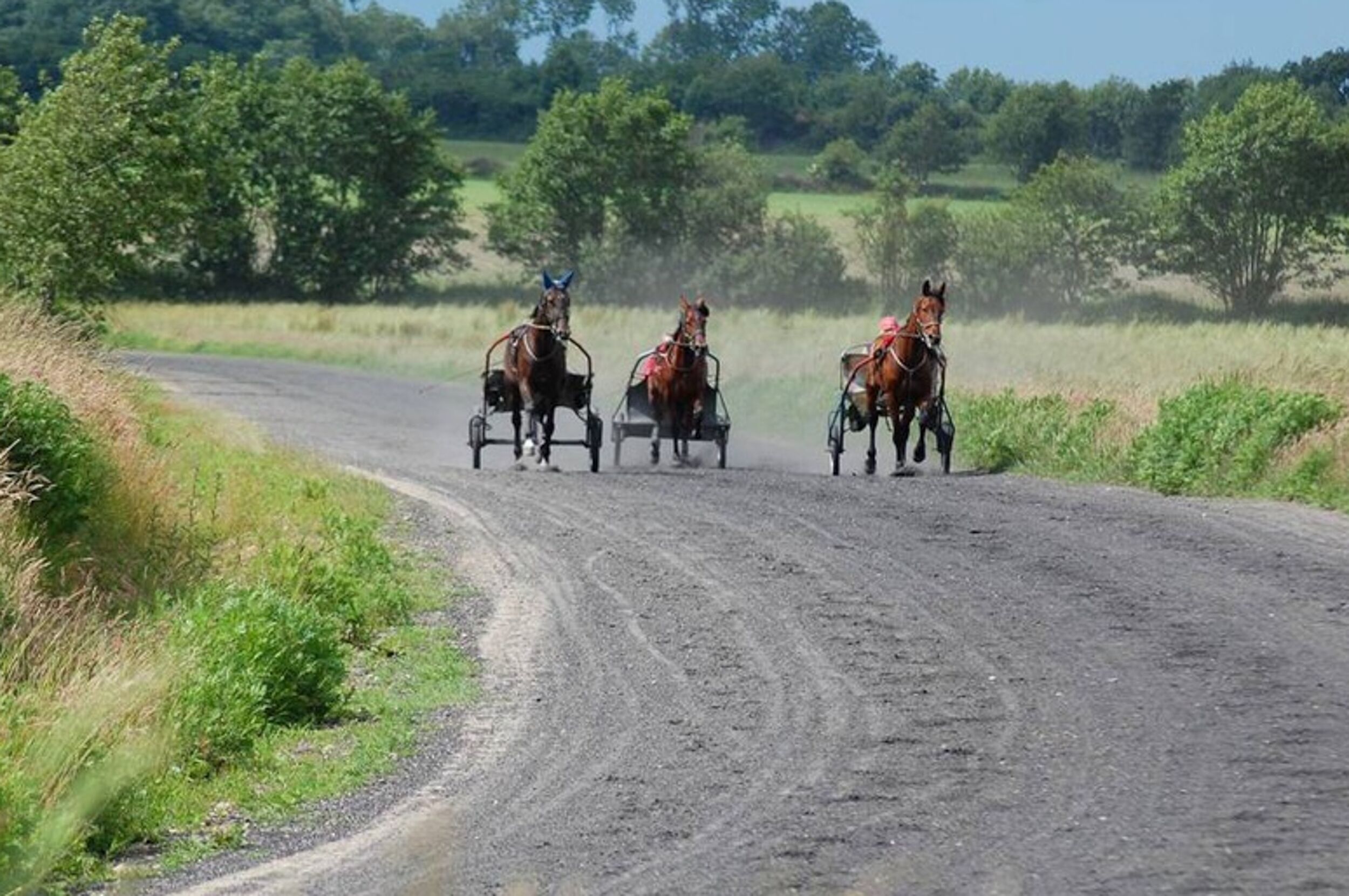Un camino rural con tres caballos jalando carretas.
