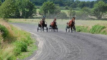 Un camino rural con tres caballos jalando carretas.