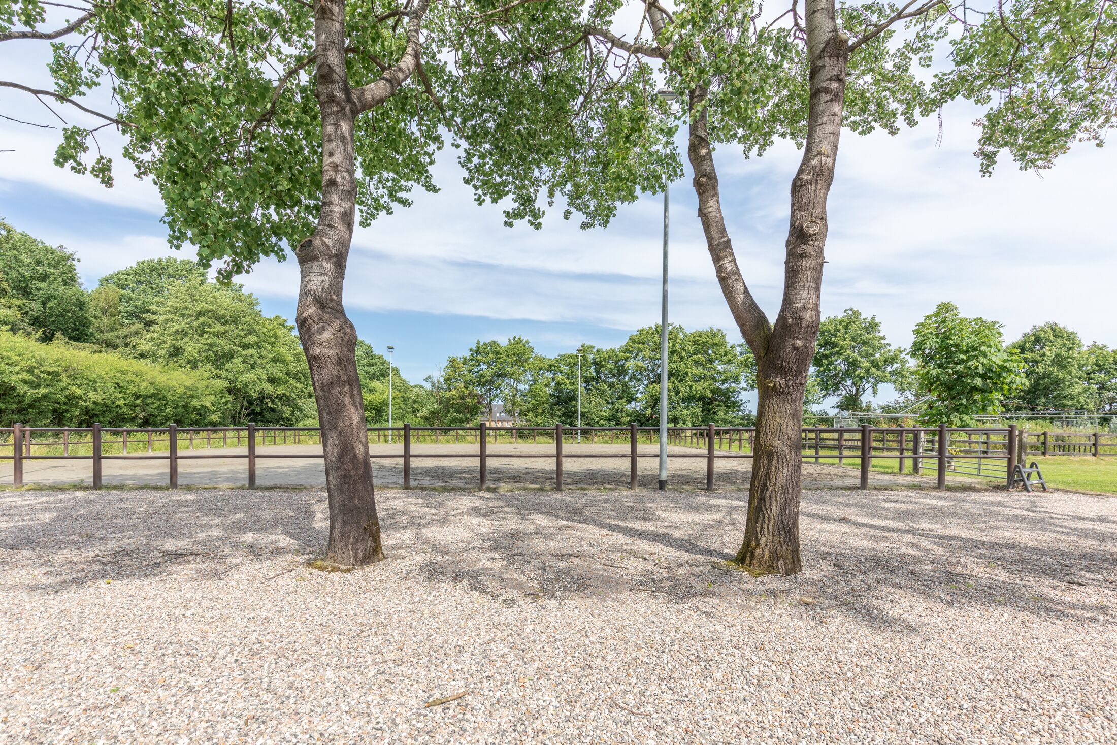 A gravel area with trees and a fence.