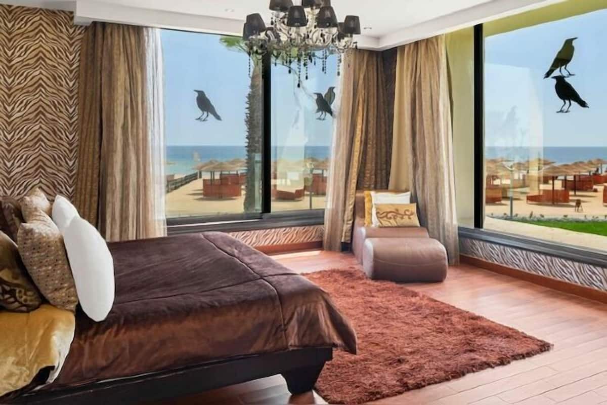 Minibar, decoración personalizada, muebles diferentes y escritorio