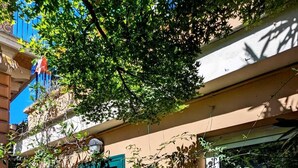 A building with a green shuttered door, potted plants, and a bench.