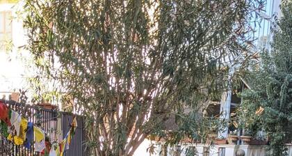 Cosy 1-bed Studio Apartment in Roma