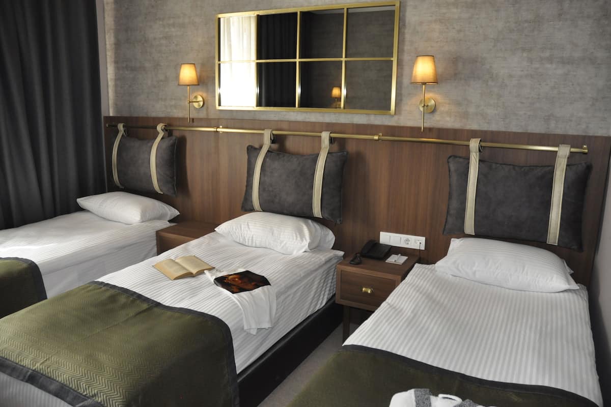 Standard Triple Room | Egyptian cotton sheets, premium bedding, free minibar, laptop workspace
