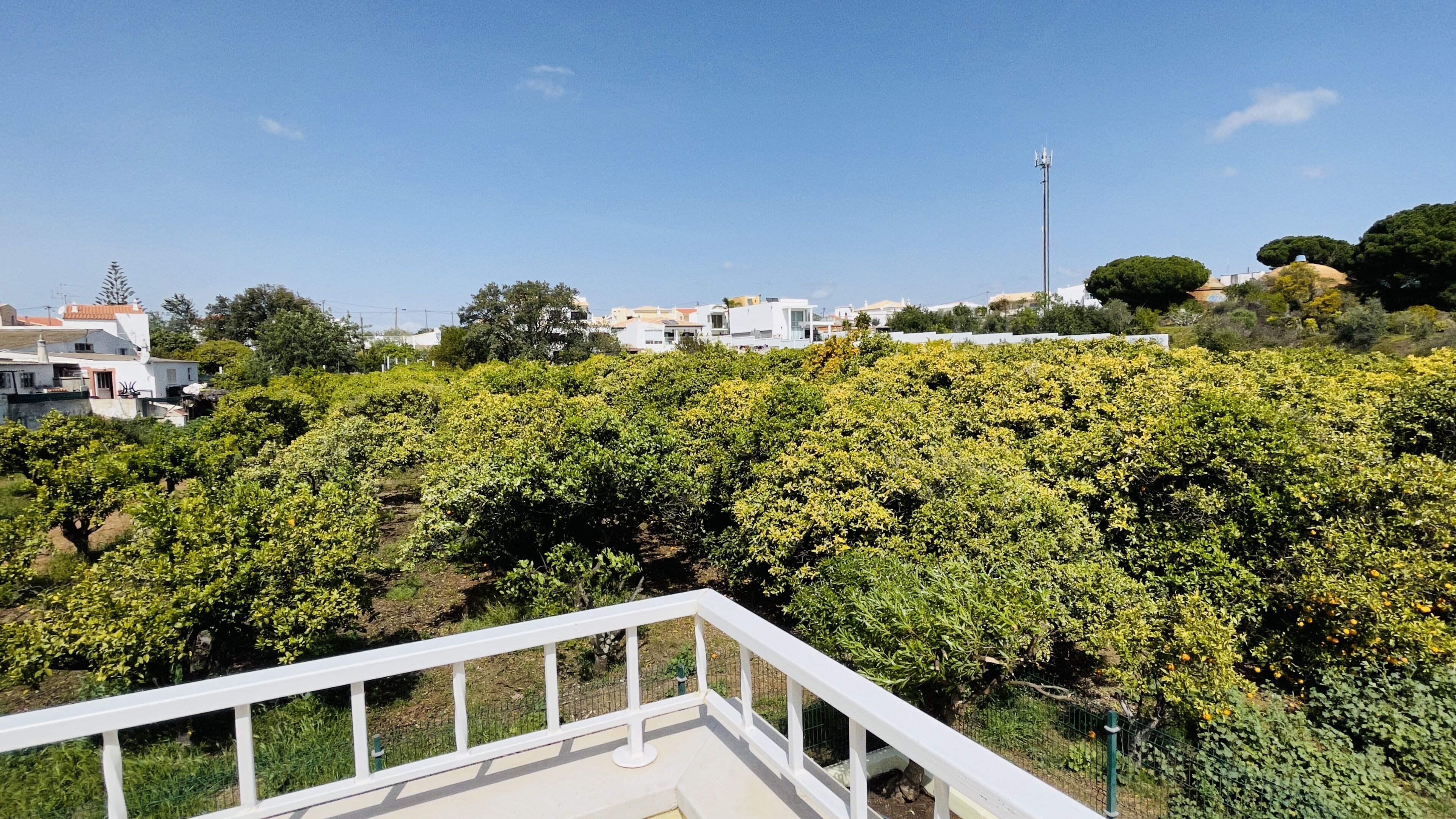 Foto - Lara Lima by Check-in Portugal