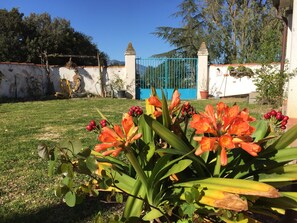 Parco della struttura